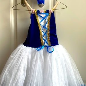 Gorgeous velvet bodice with tulle skirt EXCELLENT used condition. C medium